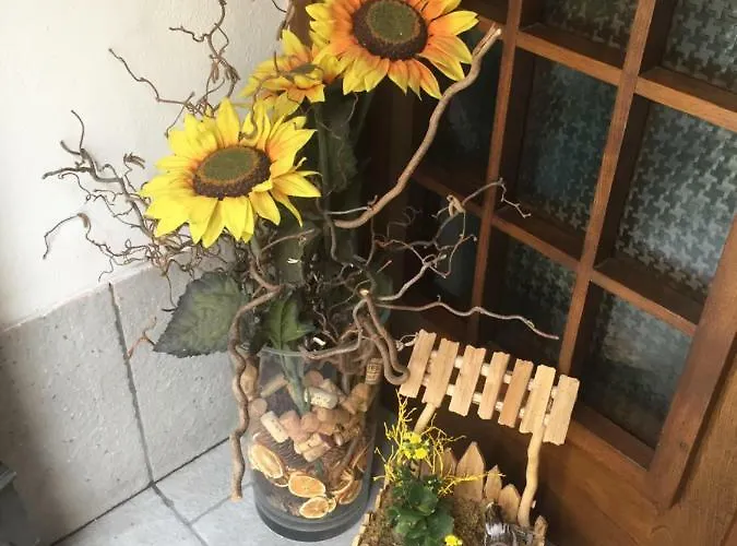 Casa Mia ティラーノ