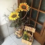 Casa Mia Tirano