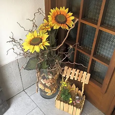 Casa Mia B&B